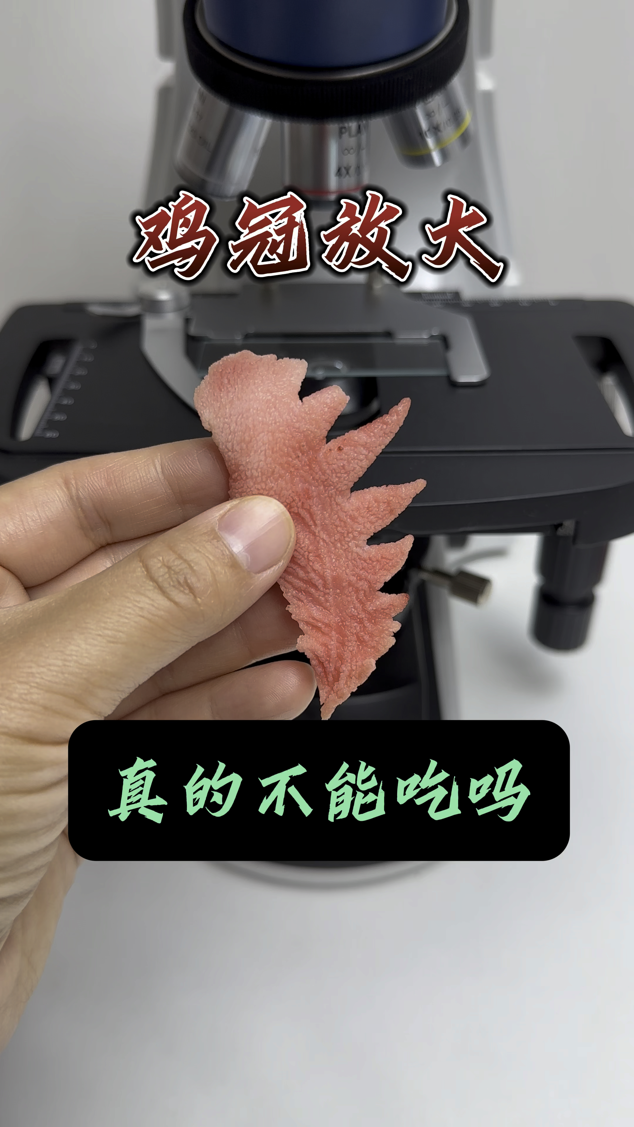鸡冠你们是吃掉还是扔掉?真的有营养吗?