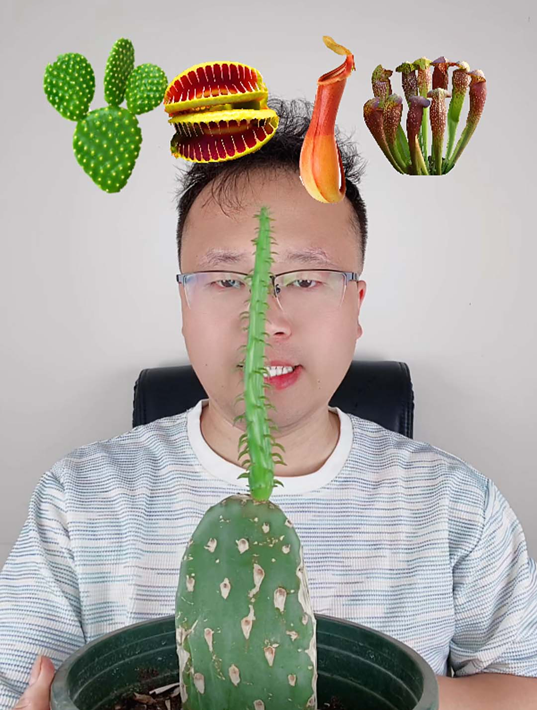 食肉植物界的3个顶级捕猎者