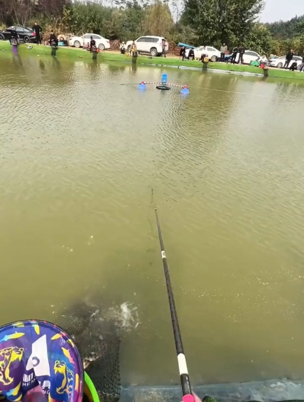 “狼牙”钓鱼就有优势?不一定,选钩还需看这些情况!