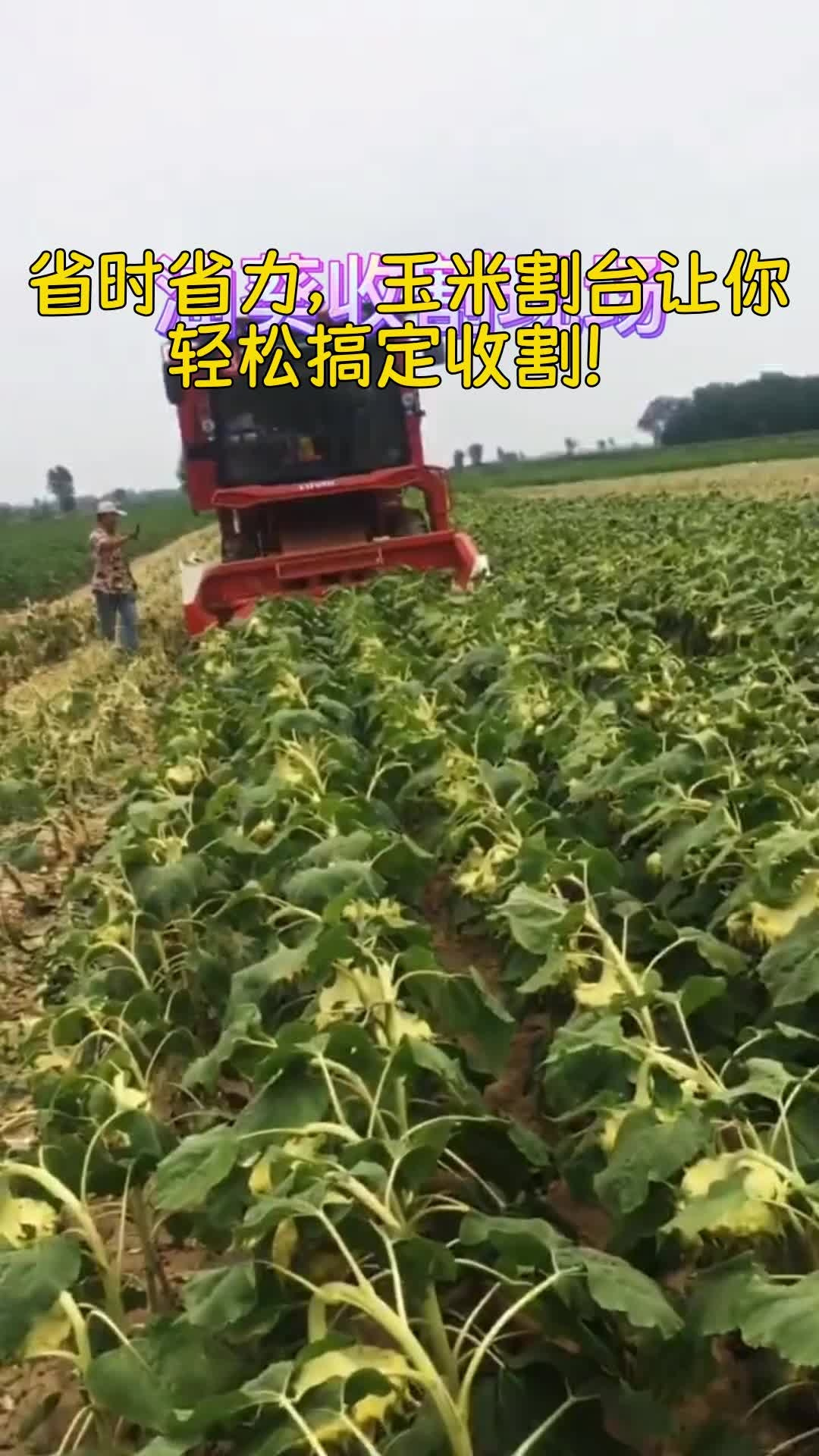 从玉米到油菜,一台割台全搞定!