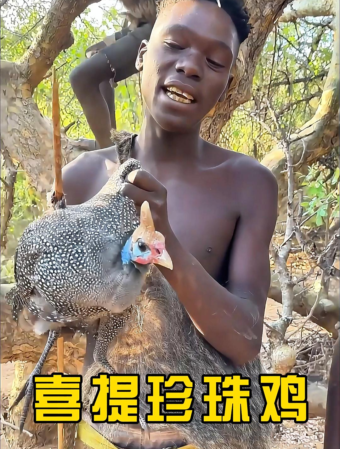 原始部落喜提珍珠鸡,荒野走走吃喝不愁