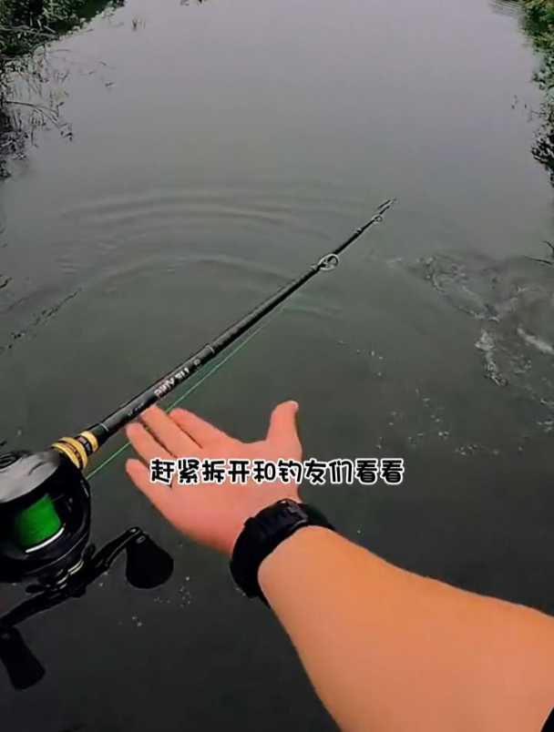 号称海竿路亚竿都能抛投作钓的草鱼线组,实测效果如何?