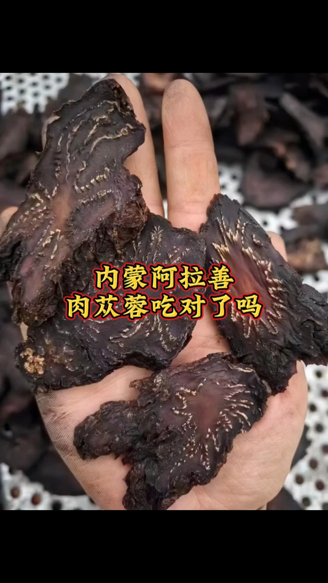 内蒙阿拉善肉苁蓉吃对了吗