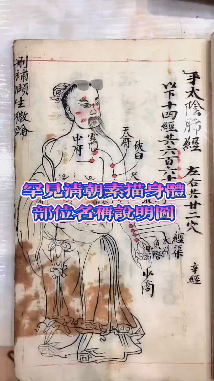 素描古本身体部位说明介绍
