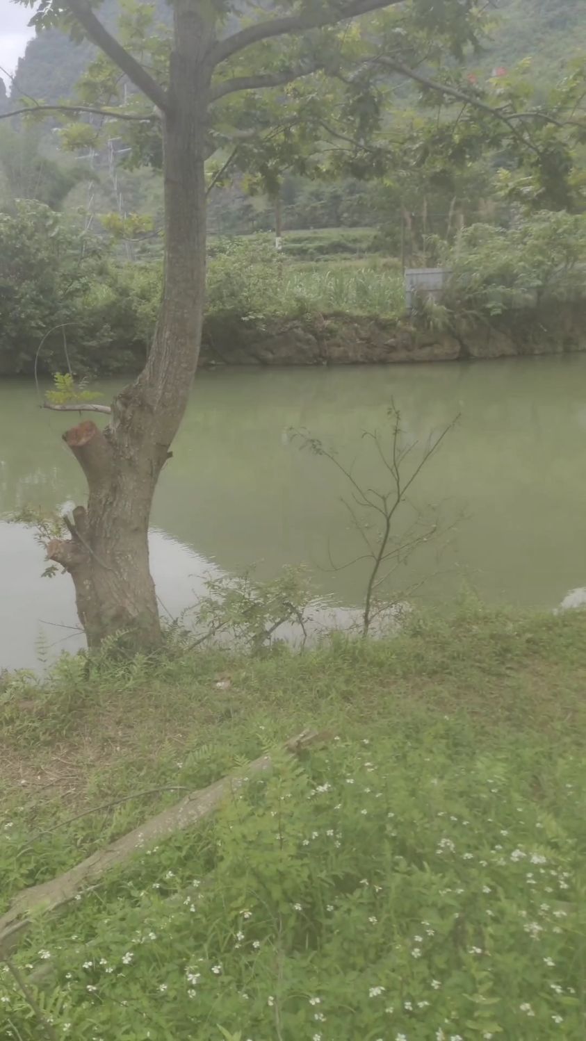 农场建设之菜地围栏