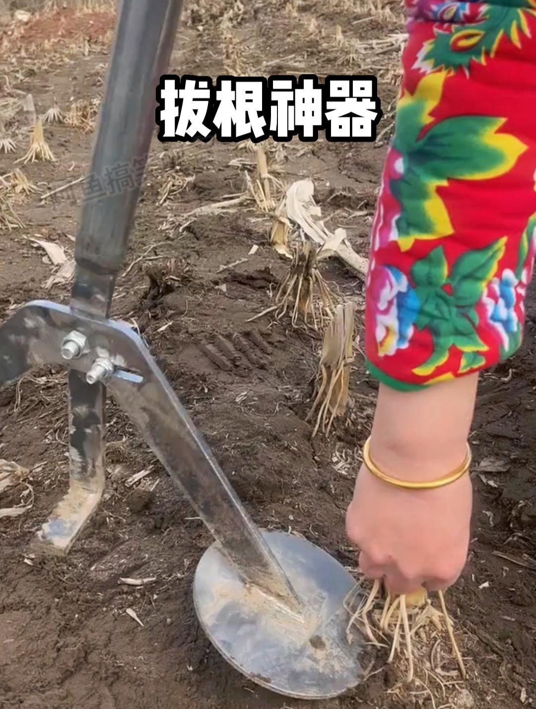 拔根神器,用处太多了