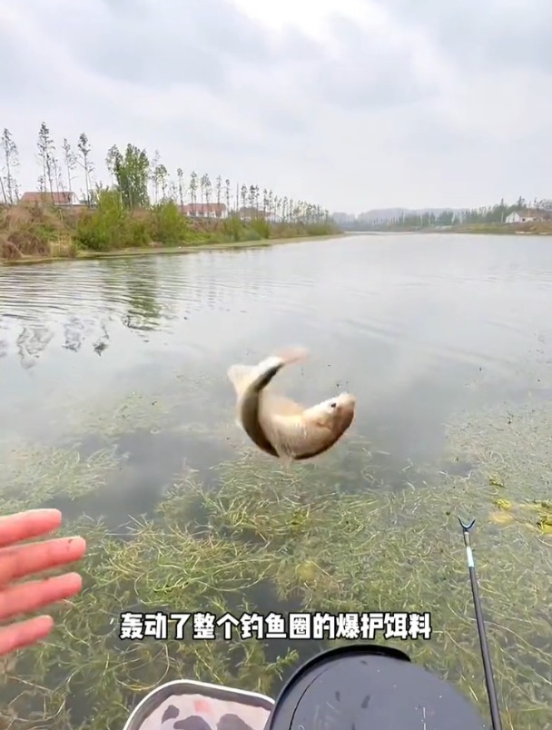 号称能把附近钓友打闭口的化氏新品饵,水下实测揭晓真相!