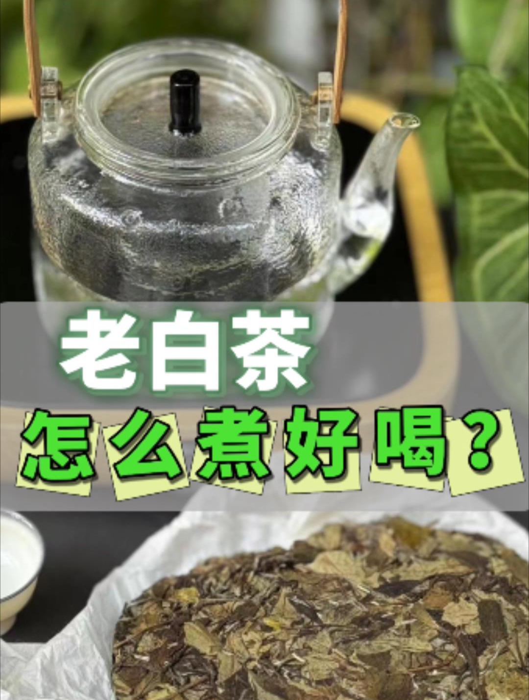 老白茶怎么煮才好喝?完整详尽的煮茶攻略,细节都帮你标好了