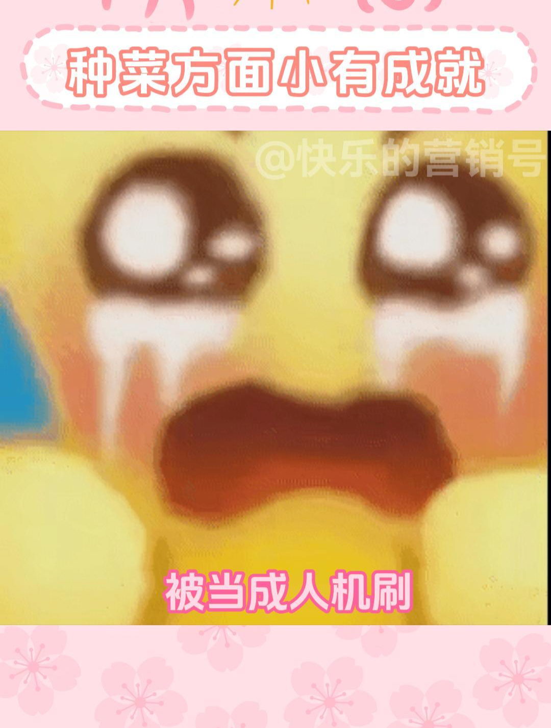 虽然我打游戏菜 但我种菜厉害