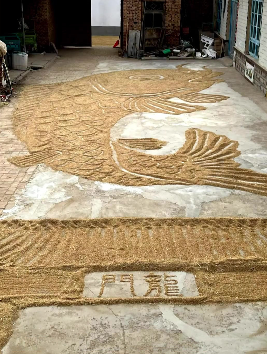 男子用麦子做了一条鲤鱼跃龙门,祝所有考生旗开得胜,金榜题名