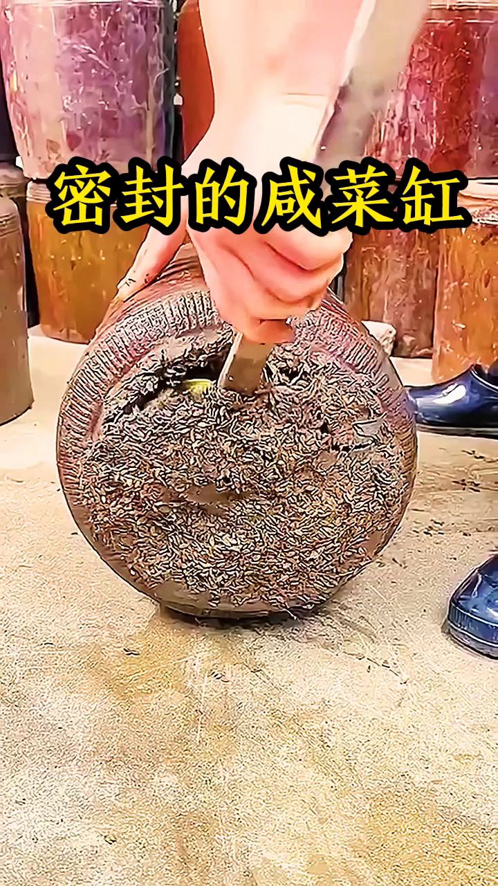 密封的咸菜缸,太好了