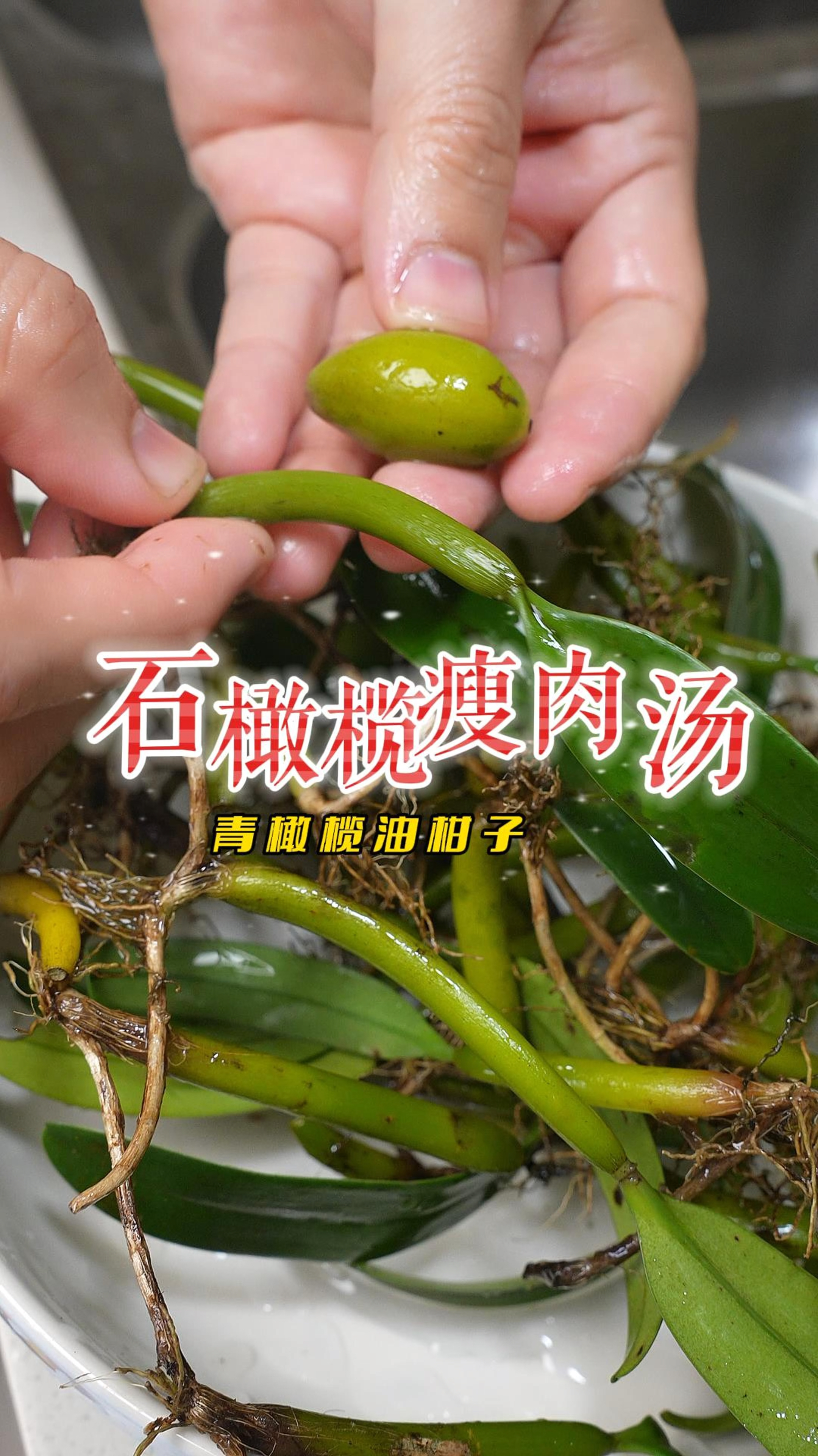 天气湿热煲个清润甘甜的石橄榄瘦肉汤,喝完喉咙很舒畅又回甘