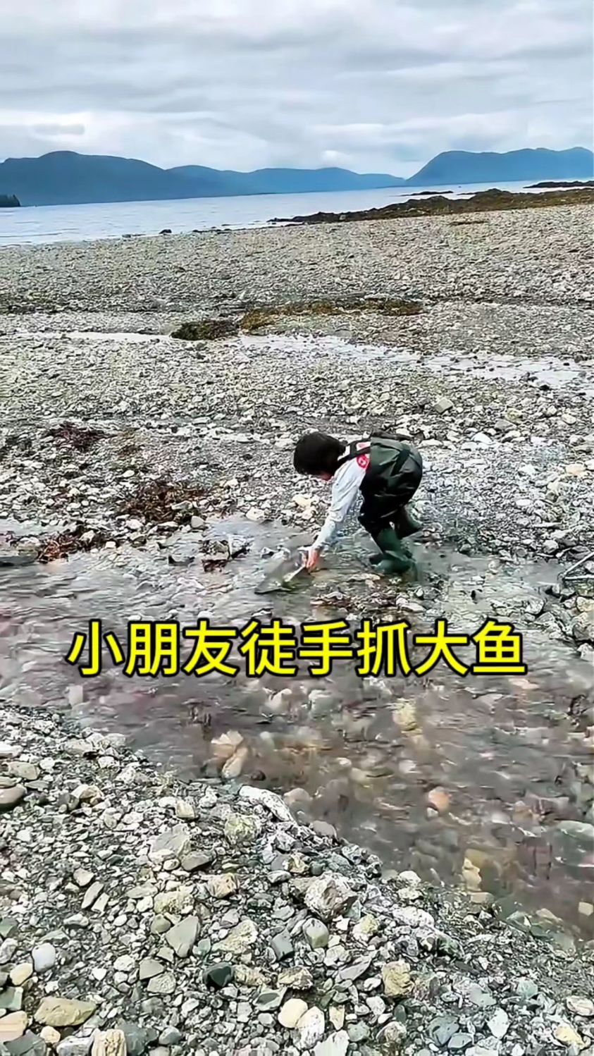 小女孩徒手抓大鱼,真的是太厉害了!