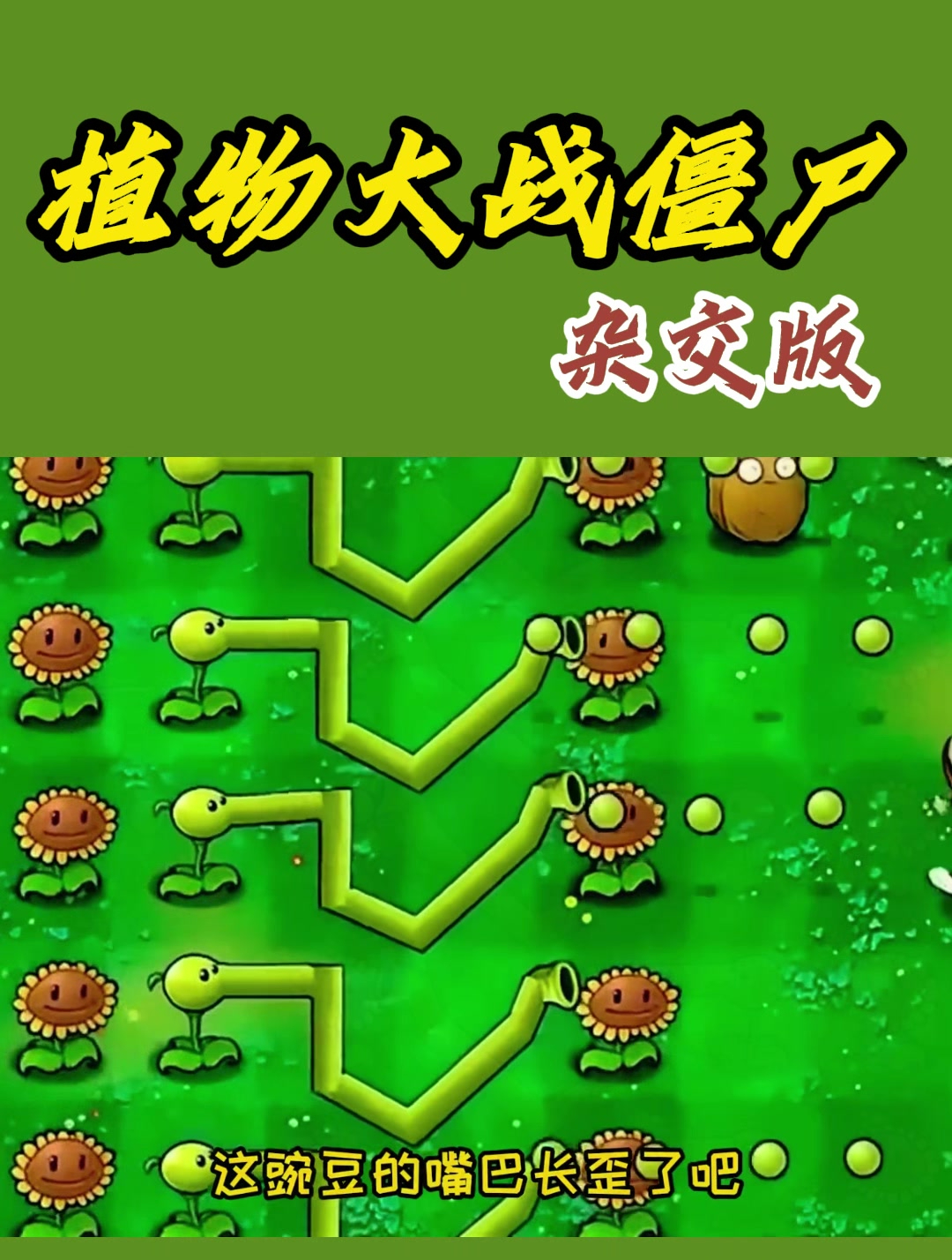 植物大战僵尸杂交版:盘点那些奇奇怪怪的“豌豆”?杂交失败了?