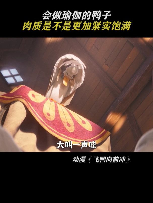 飞鸭向前冲:会做瑜伽的鸭子