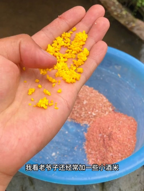 化氏饵料的正确搭配方法,老钓友一步一步详细演示!
