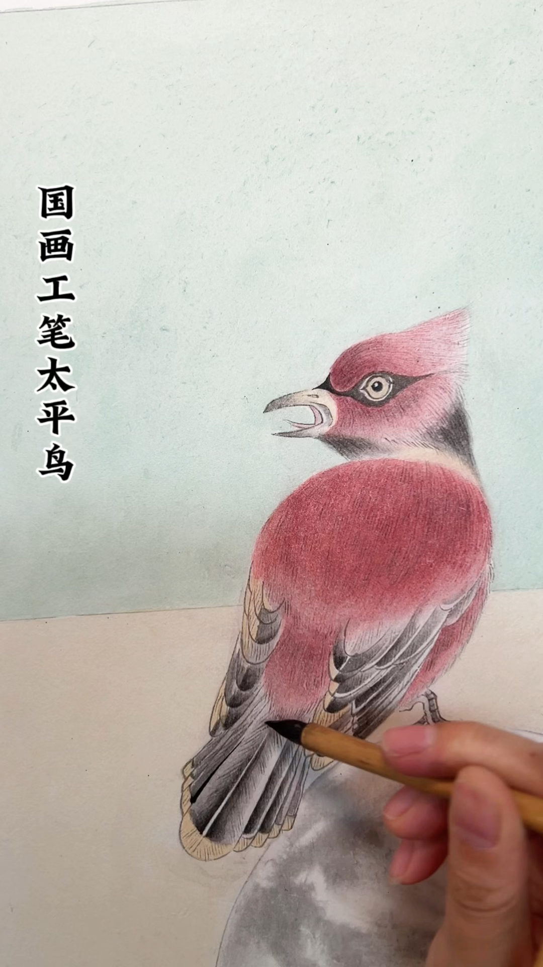 国画工笔太平鸟画法完结啦!快来看有意境的画如何画成的!