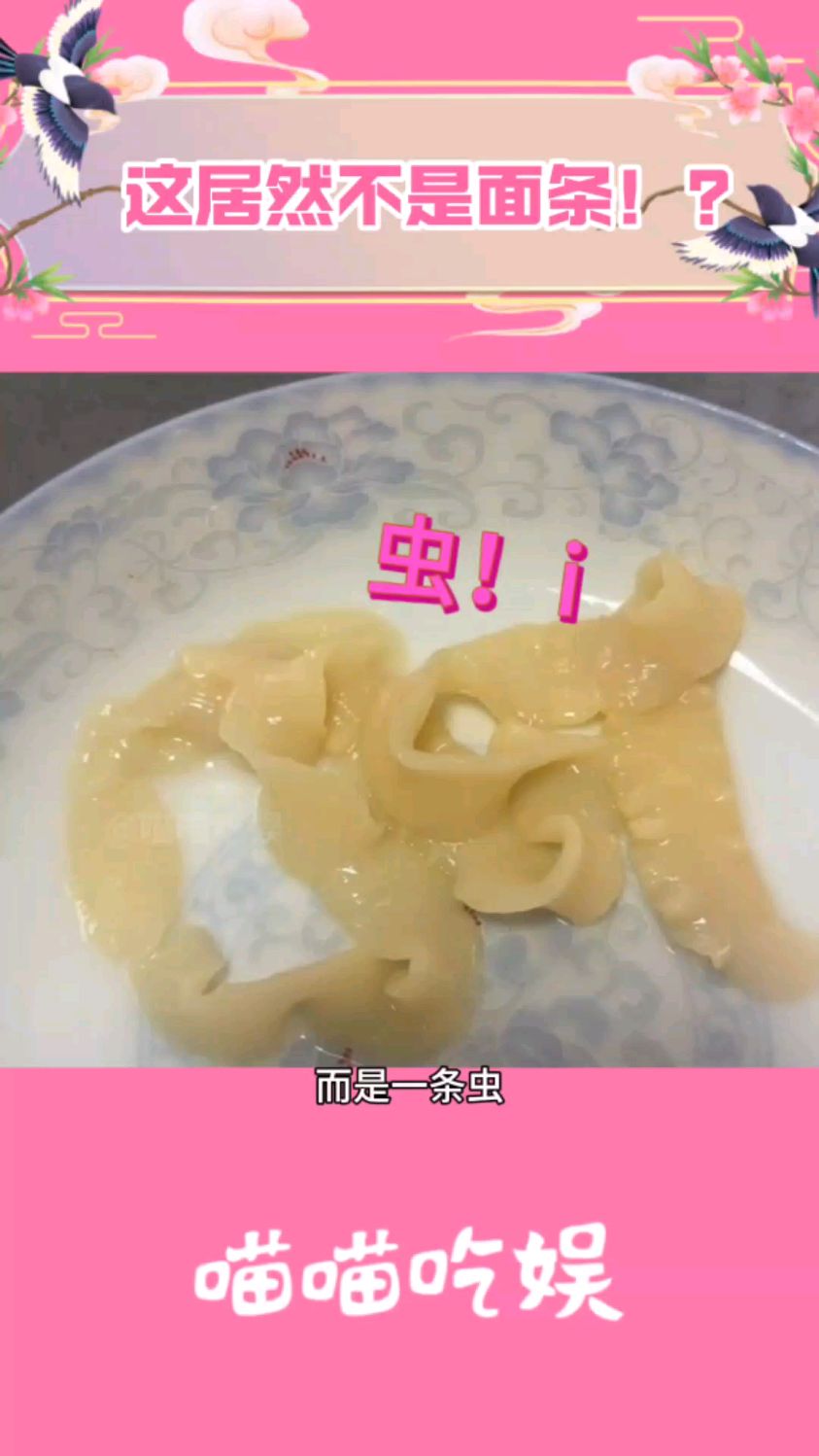 不忍直视#舌状绦虫 #面条虫 #崩溃了