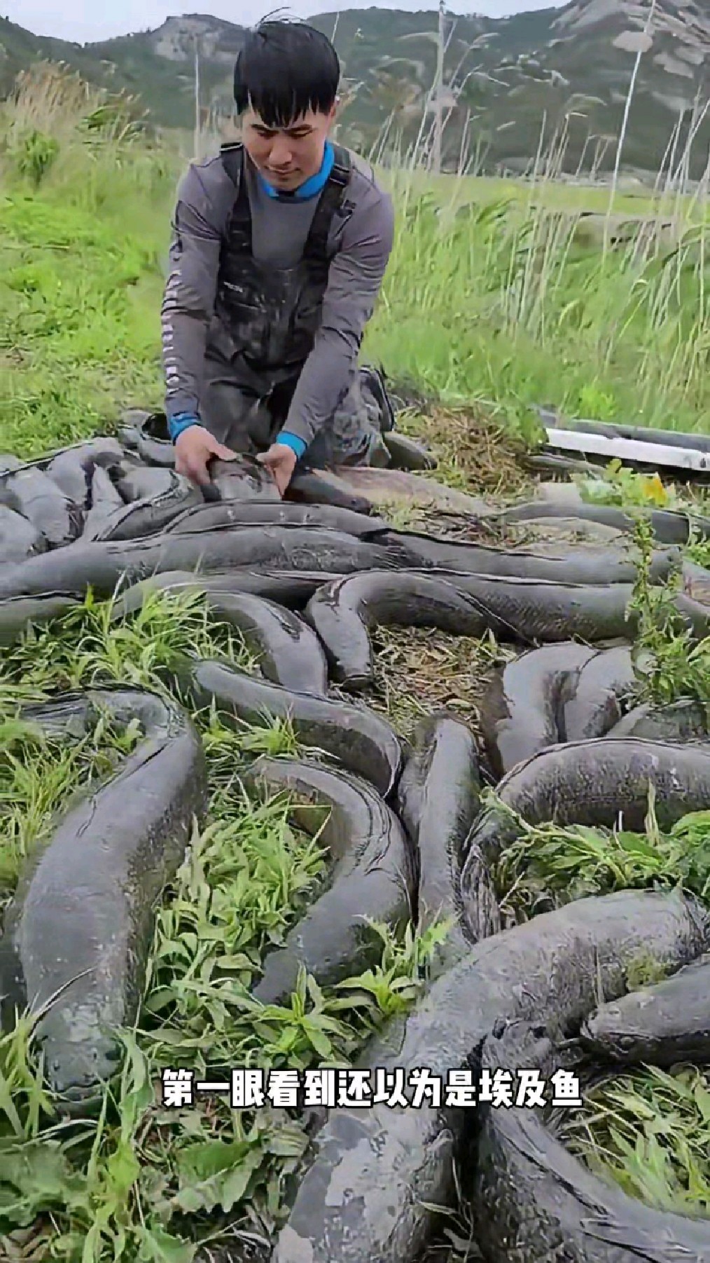 外表花纹像蛇,这是什么鱼?