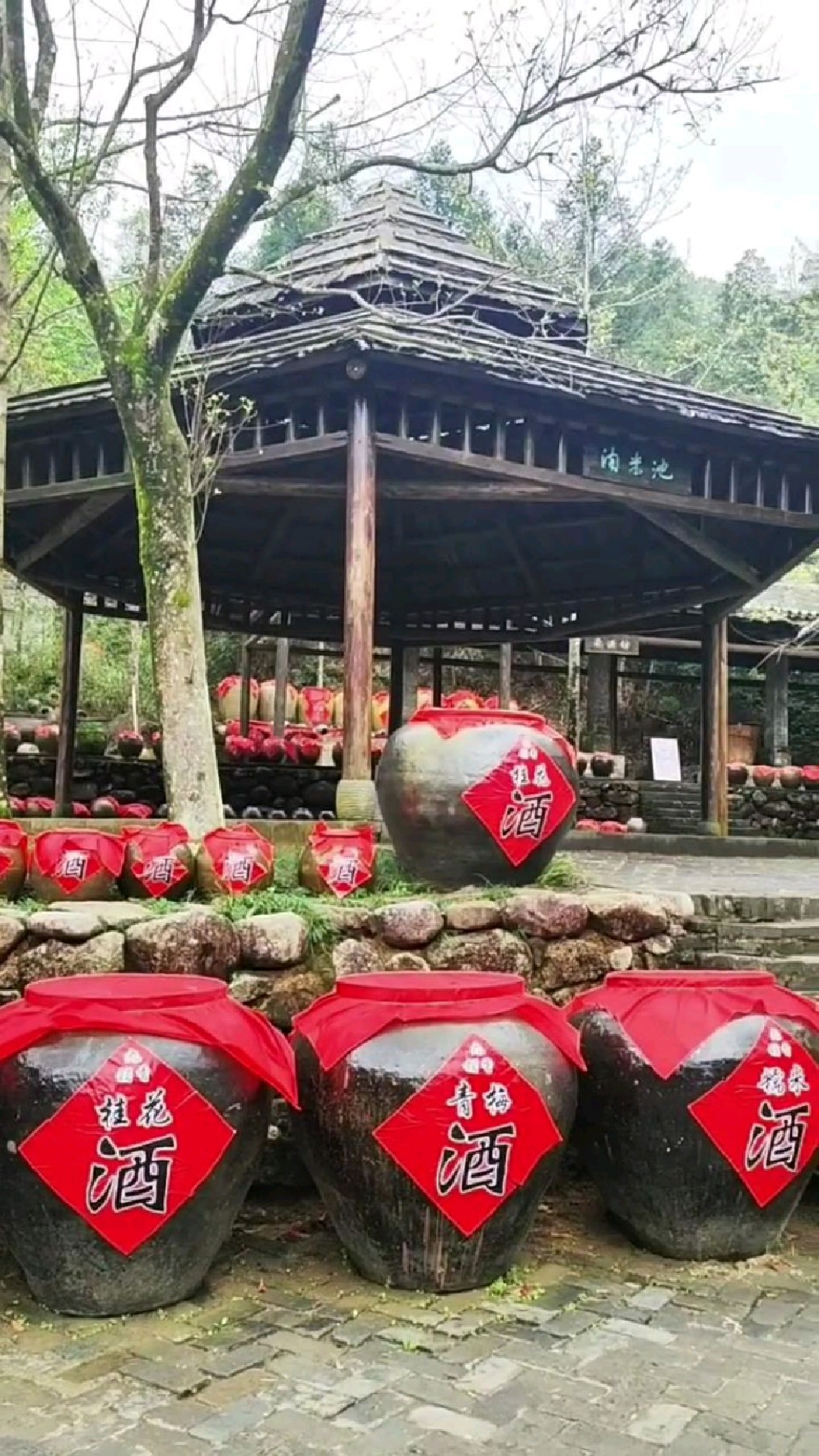 仙姑大草坪后面就是TVB电视剧《酒是故乡醇》的拍摄地九铺香酒厂