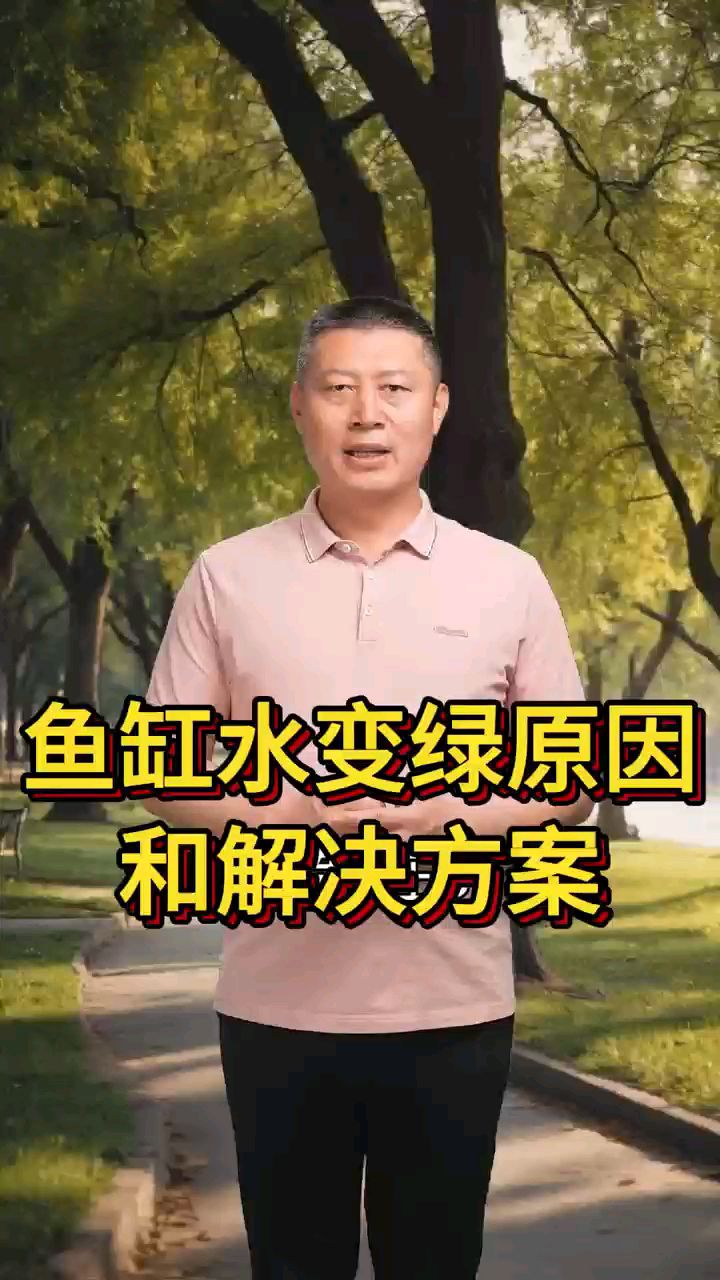 鱼缸水变绿原因和解决方案