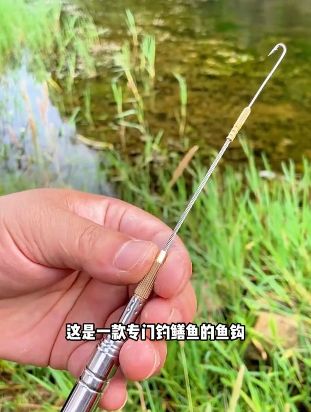 钓黄鳝鱼怎么选鱼钩?选鱼钩要注意什么?老钓友一次讲清楚!