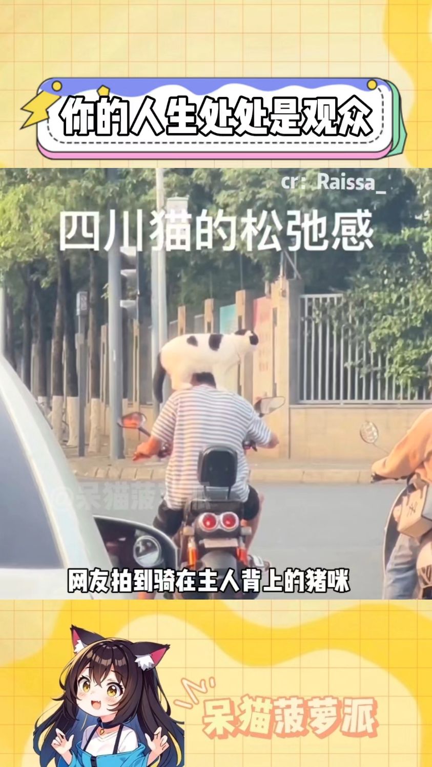 “人生没有那么多观众”评论区里一年四季,全是高清写真