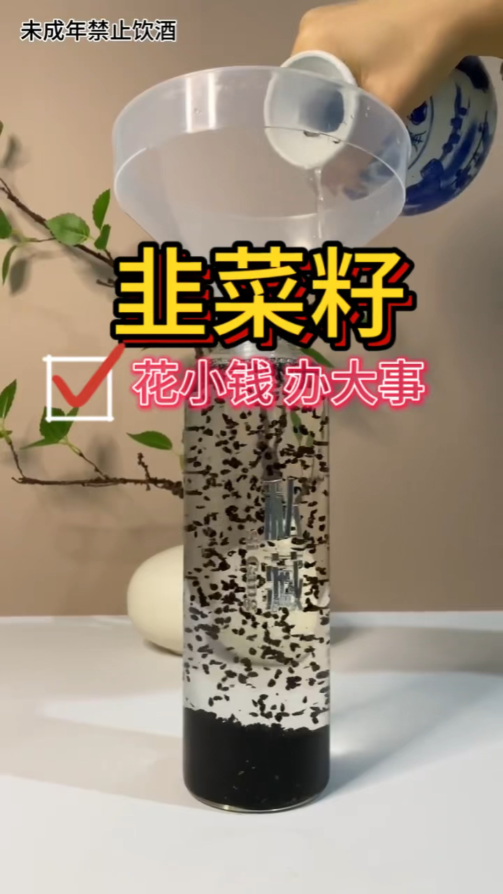 韭菜籽-花小钱办大事