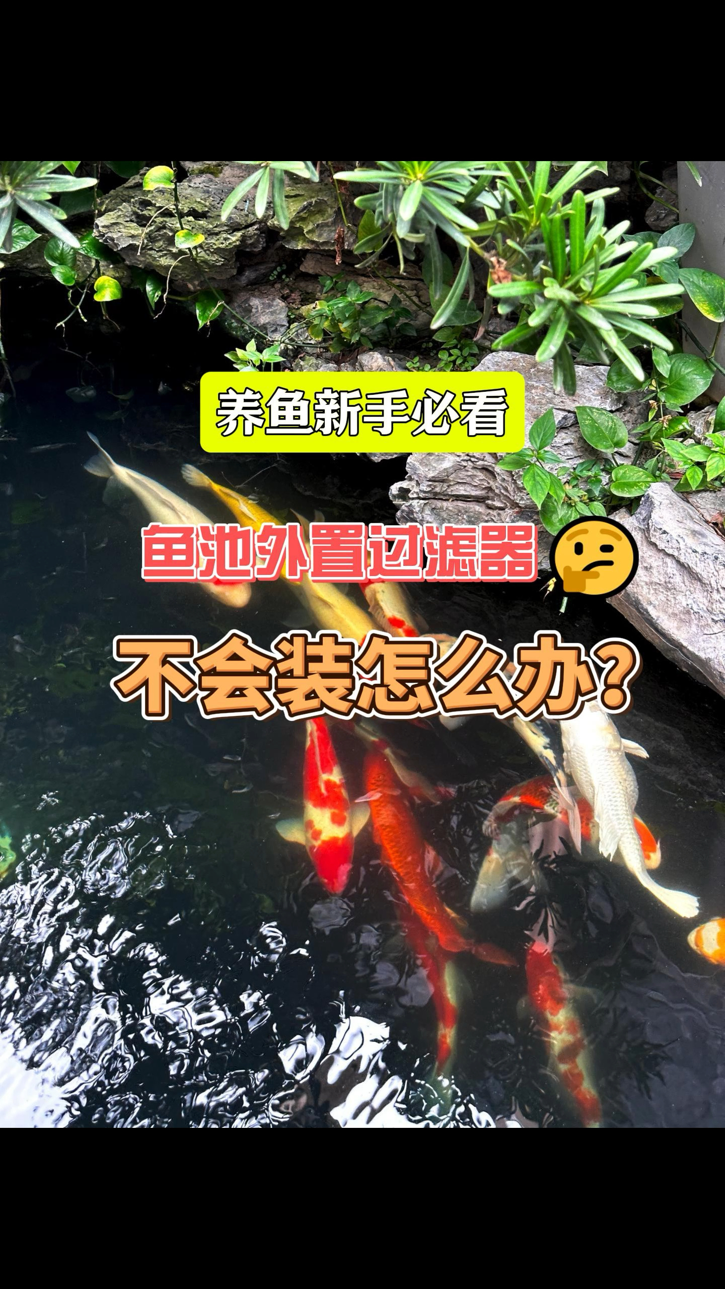 外置鱼池过滤器怎么安装吗?