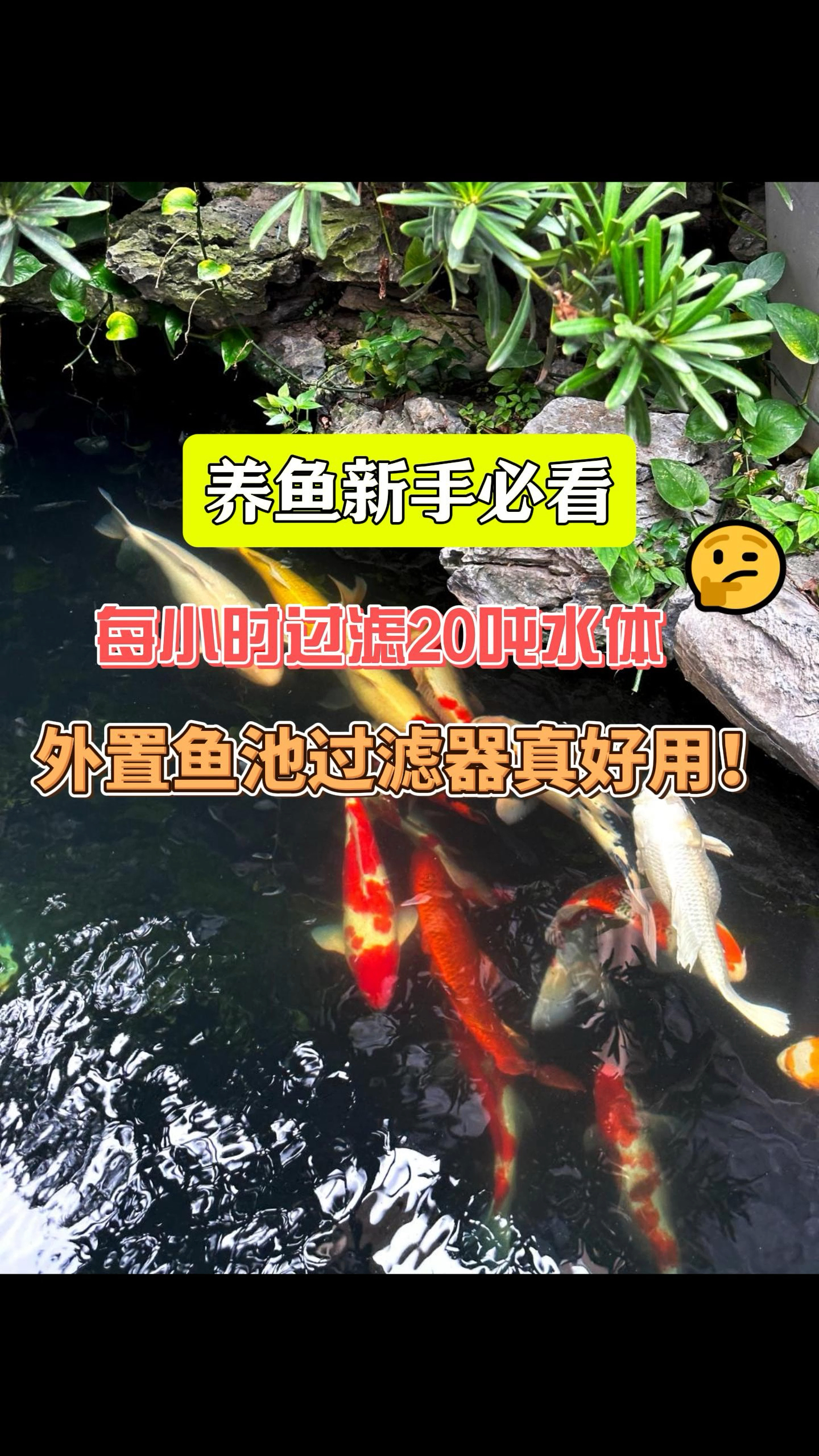 适合0-30吨鱼池使用的过滤设备#锦鲤鱼池 #鱼池过滤