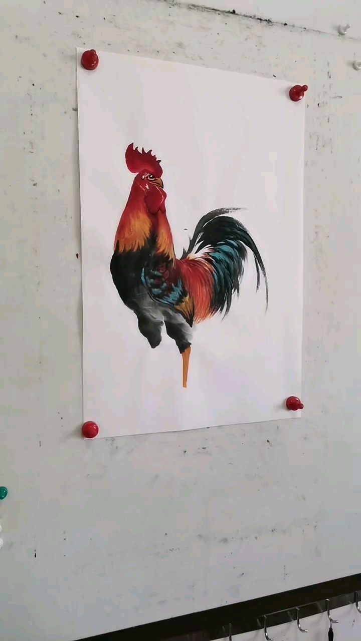王兴民国画公鸡:绘画作品视频