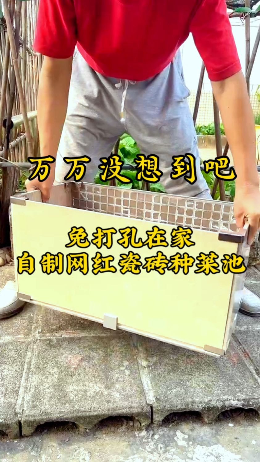 端午长假,在家免打孔自制网红瓷砖种菜池