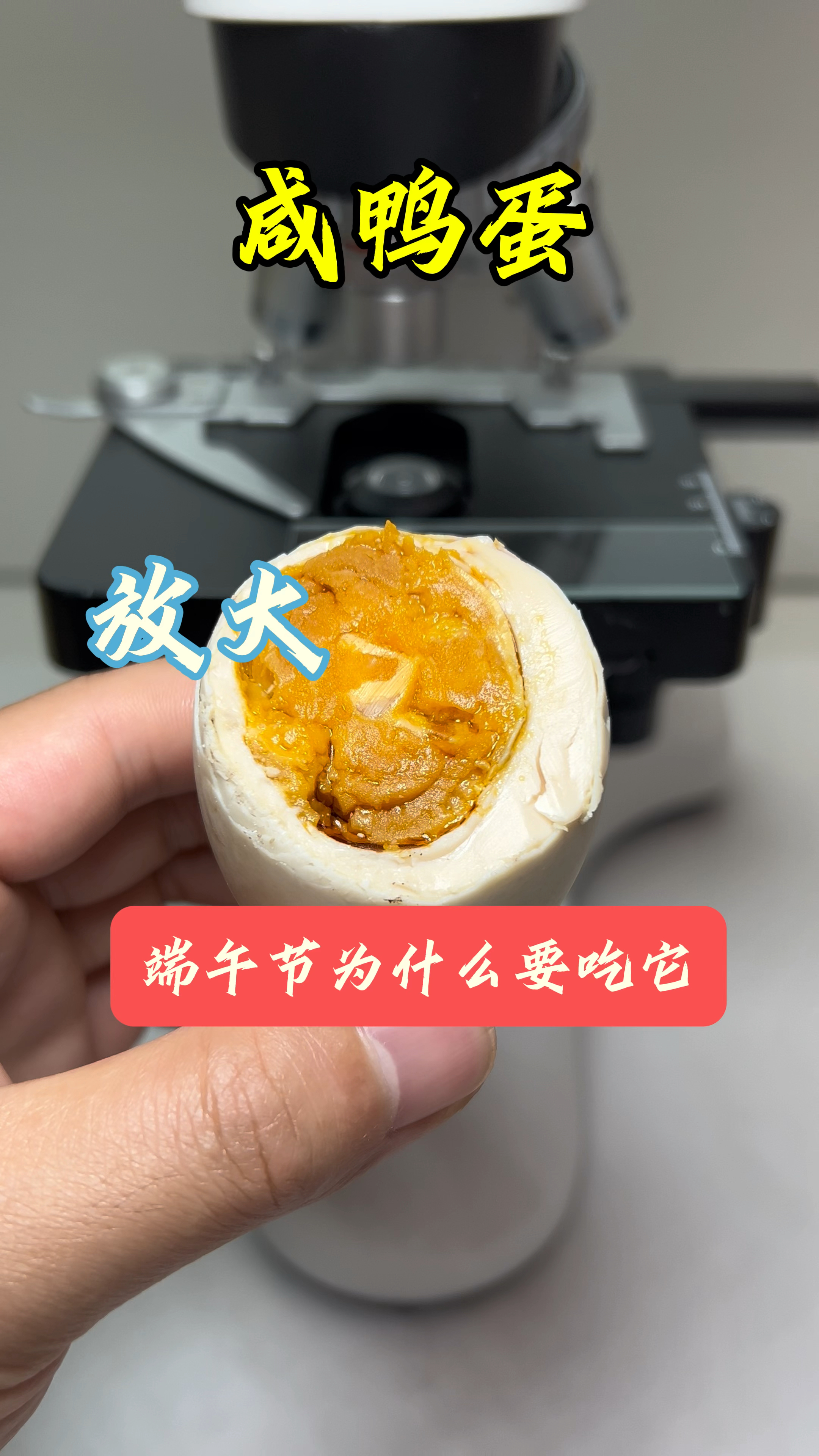 端午节吃粽子,但你吃咸鸭蛋了吗?#咸鸭蛋 #显微镜下的世界
