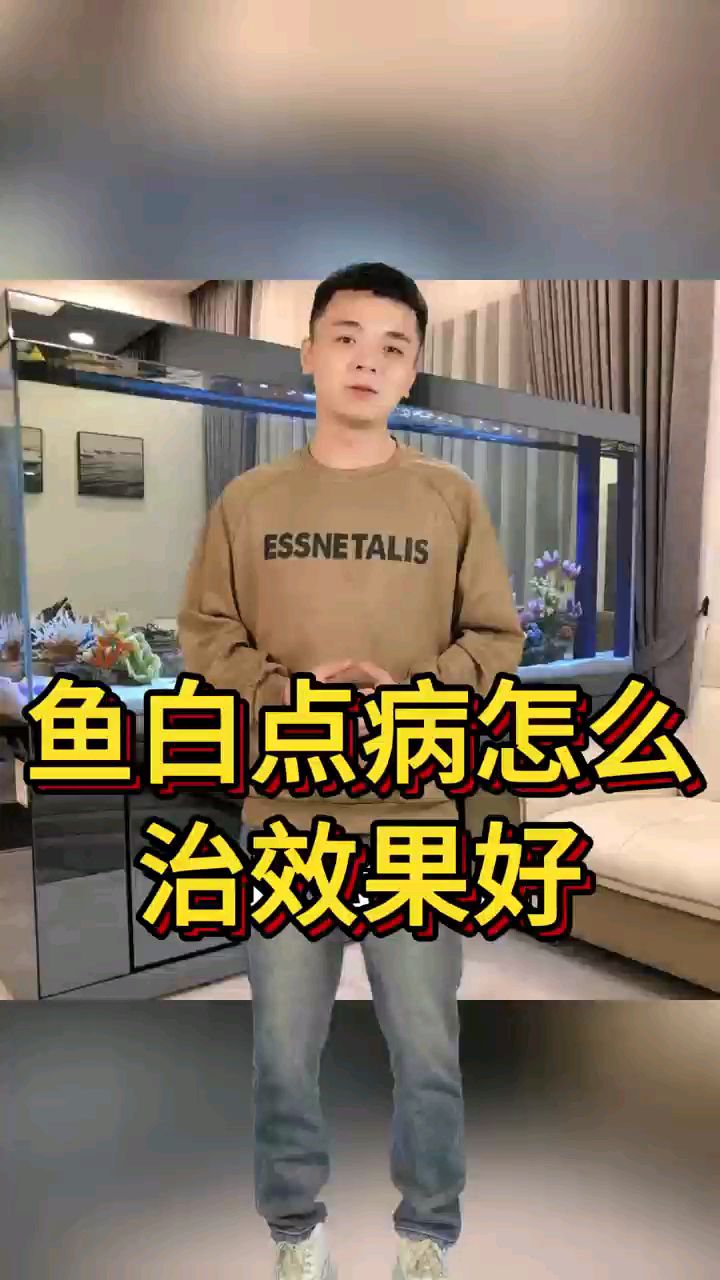 鱼白点病怎么治效果好