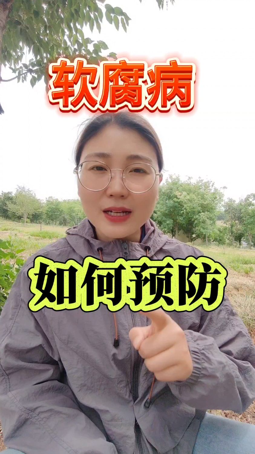 软腐病怎么预防?