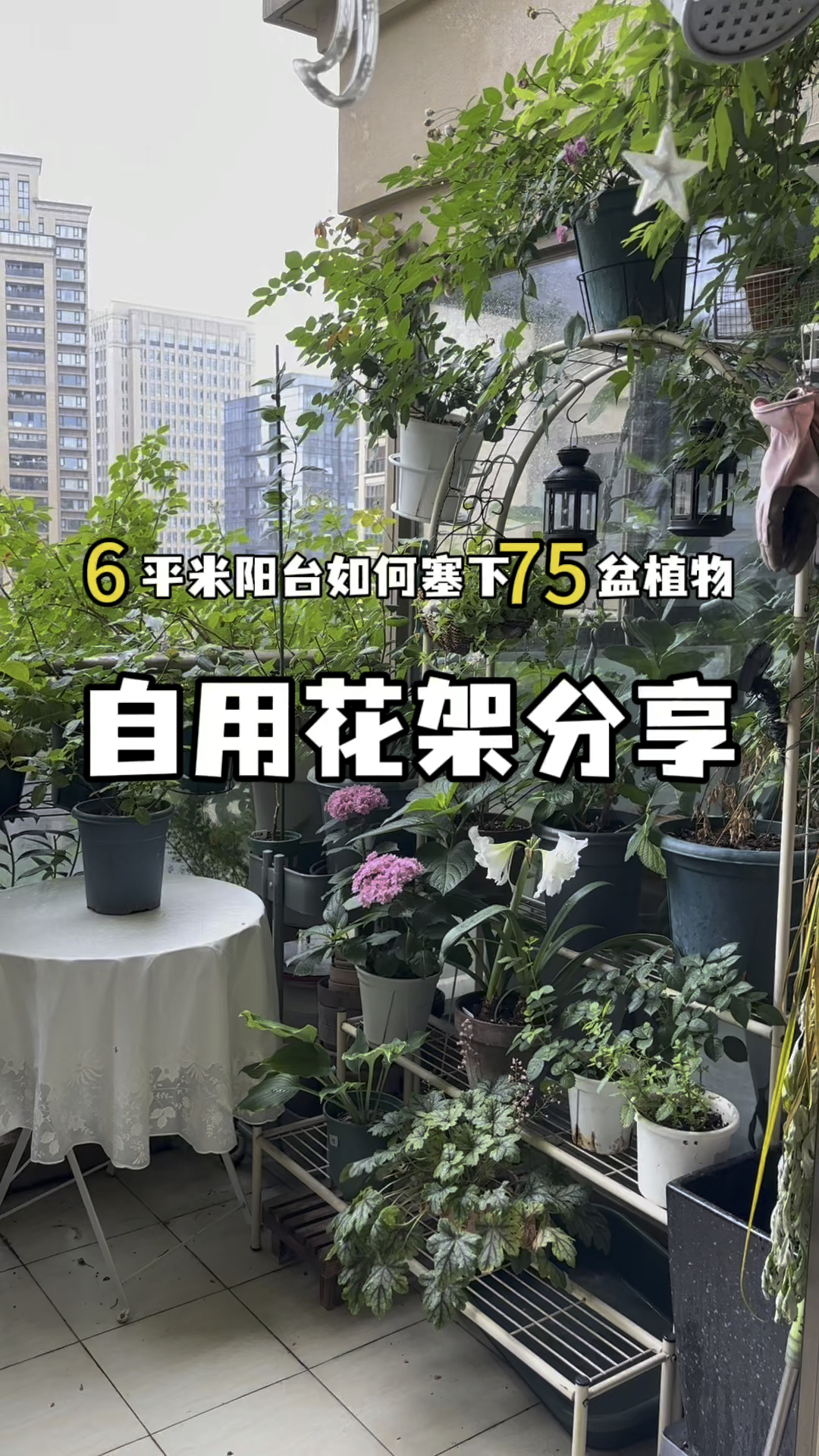 6平米小阳台塞下75盆绿植～一起来看看我的那些好用的花架吧～