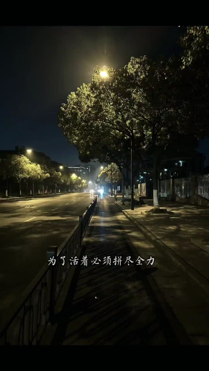 一地鸡毛的生活,即使每天精疲力尽,却都在努力的活...
