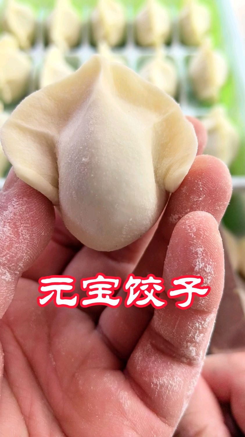 元宝饺子慢动作包法