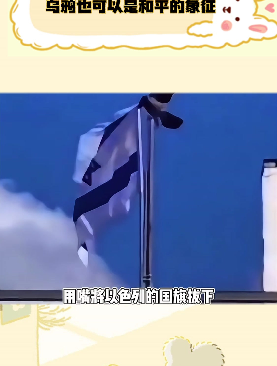 乌鸦也可以是和平的象征