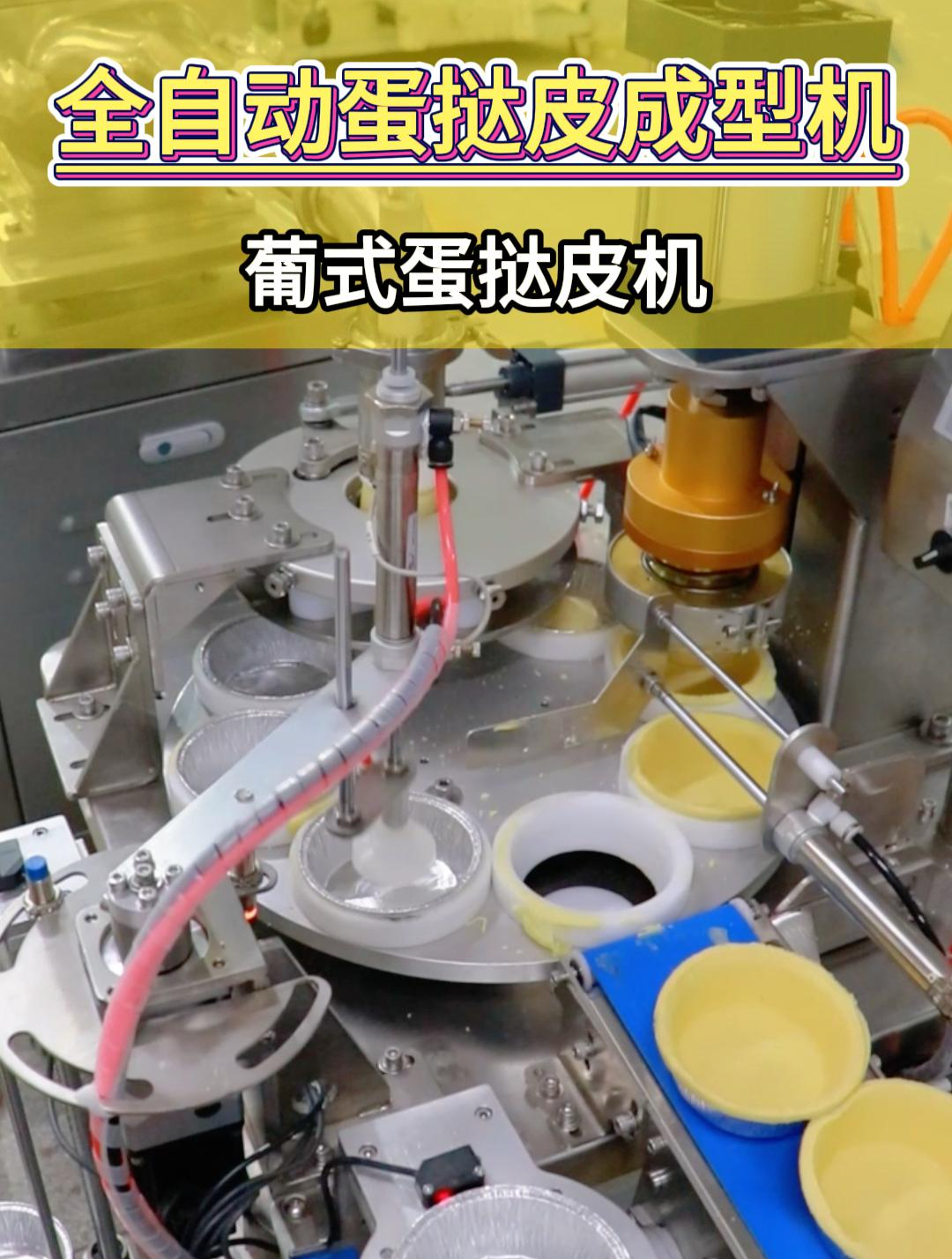 有了这样一台全自动蛋挞皮成型机,批量生产蛋挞皮原来如此简单!