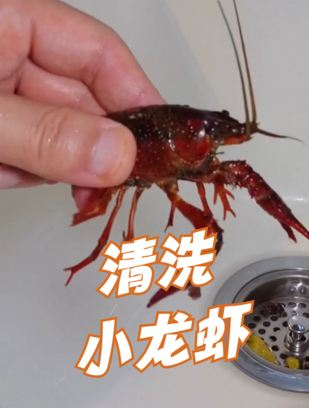 以下是一篇清洗小龙虾文案