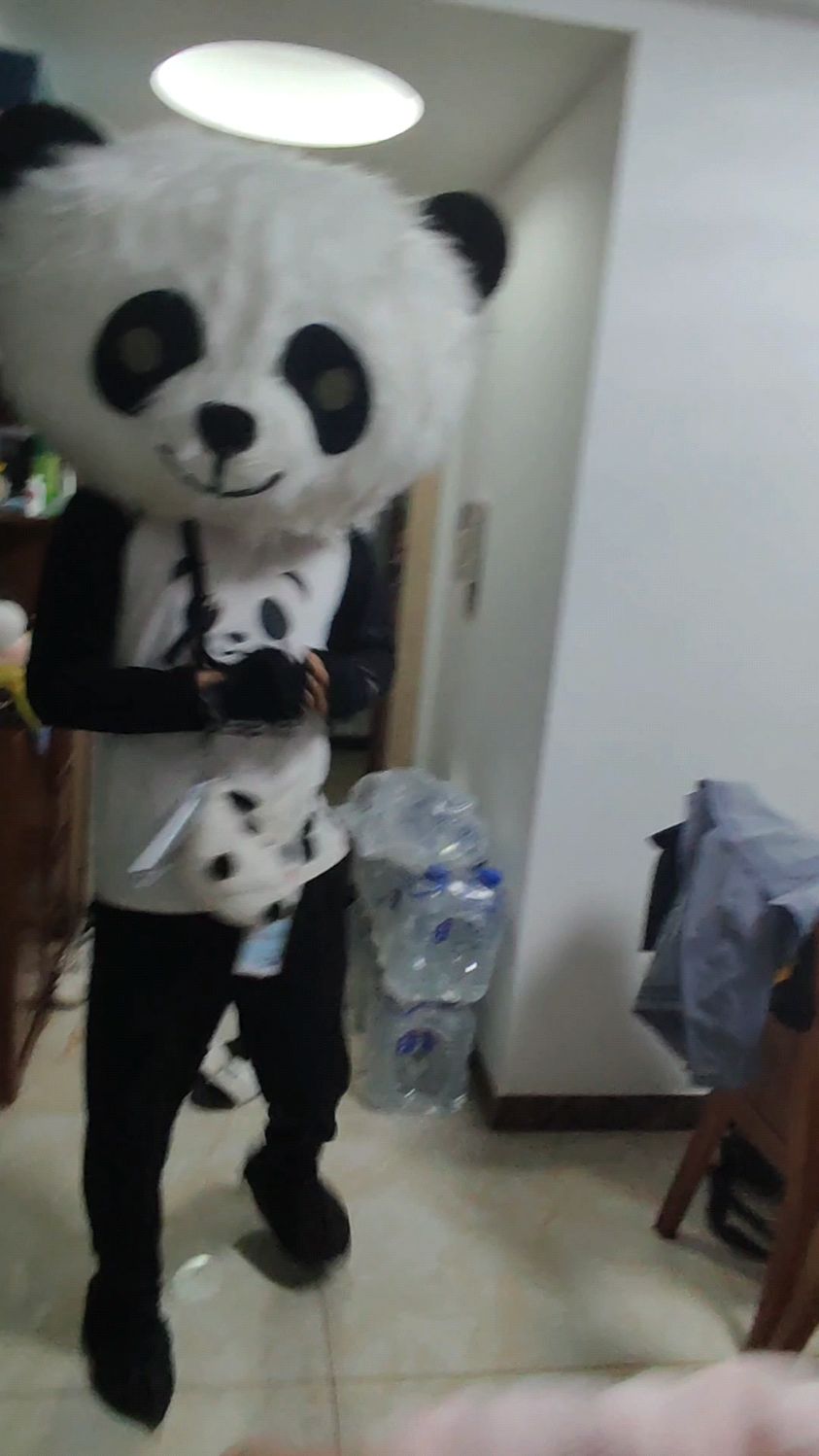 熊猫到家(蛋糕)玩偶真人舞蹈!快来和我一起过生日,爱你哦!