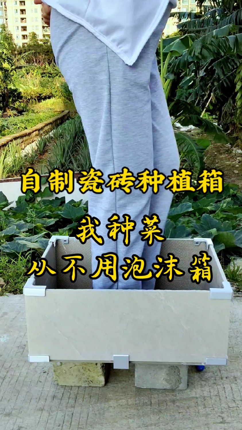 自从小姨学会变废为宝自制瓷砖种植箱,阳台种菜再也不用泡沫箱了