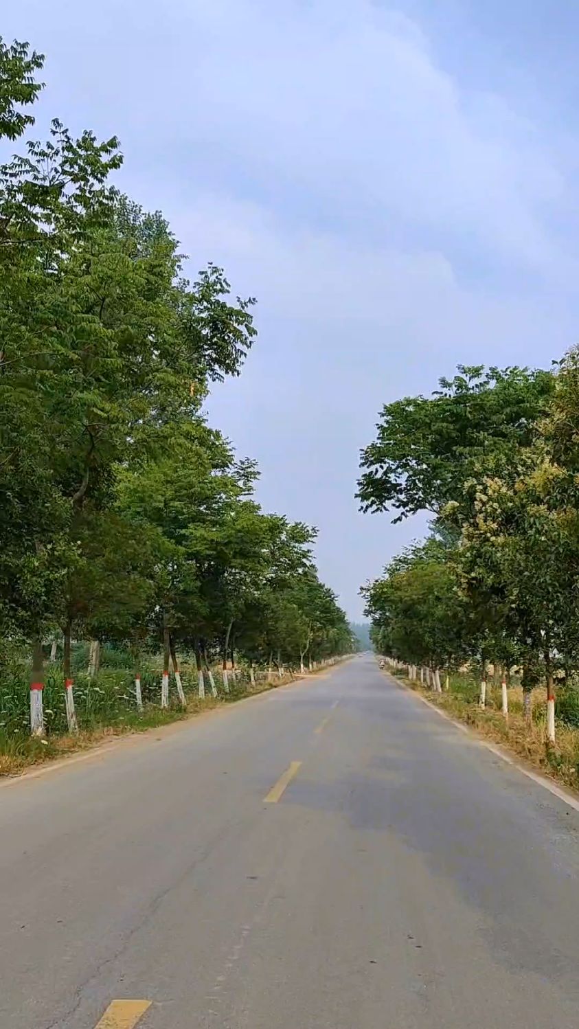 咱们河南有个地方外公外婆叫魏婆魏爷,厨房叫灶火,米饭叫干饭。