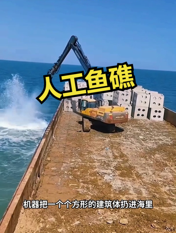 人工鱼礁,帮助恢复海洋生态!