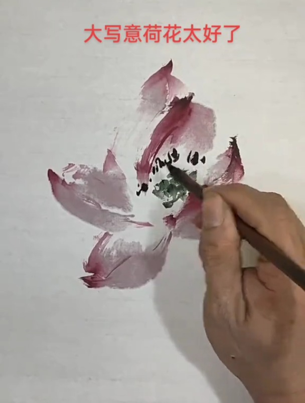 大写意荷花,运笔潇洒,水墨淋漓