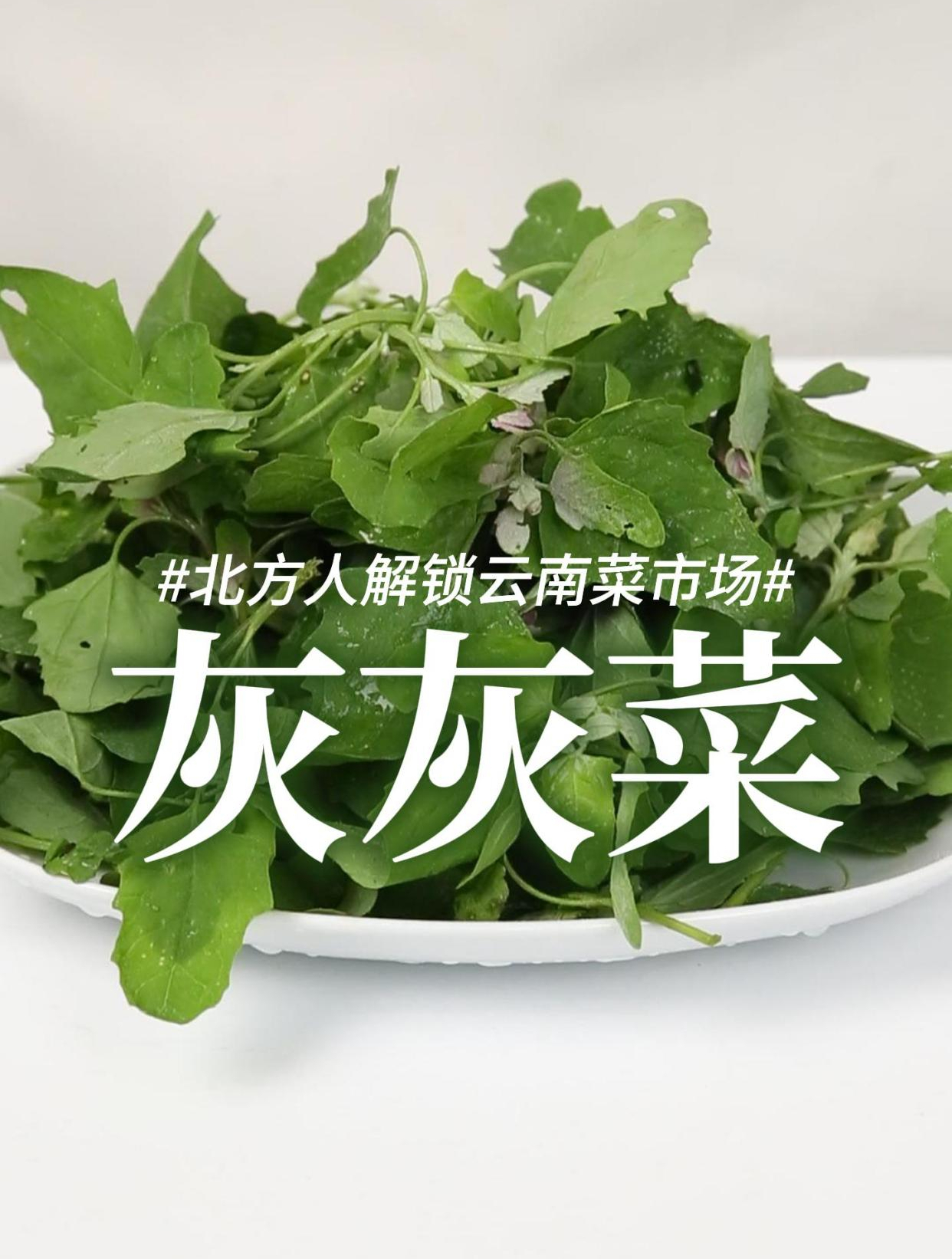 云南野菜入门级推荐!味道平和又特别,只为尝鲜做法超简单