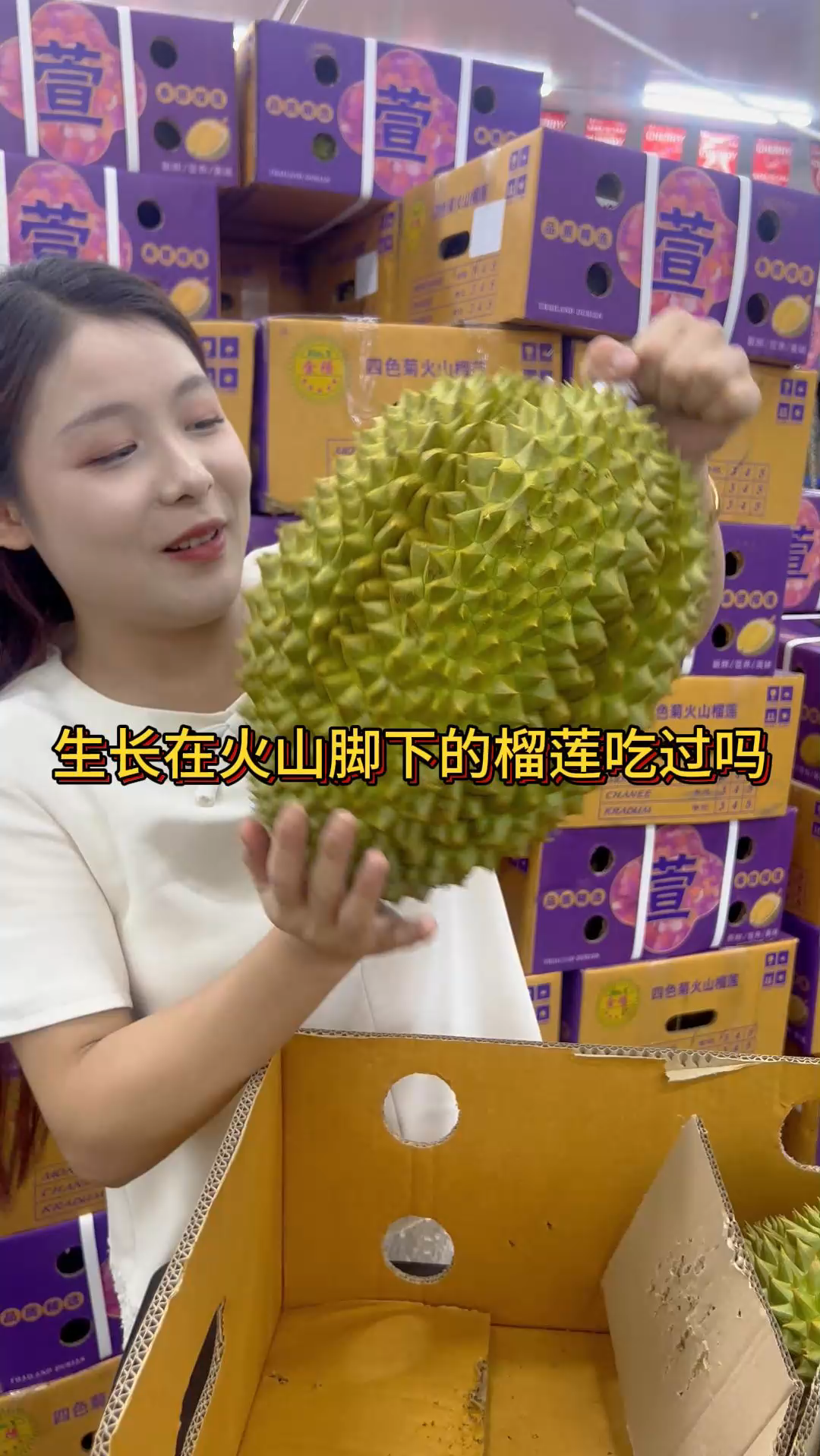 火山你看过,金枕吃过,火山金枕榴莲吃过吗?
