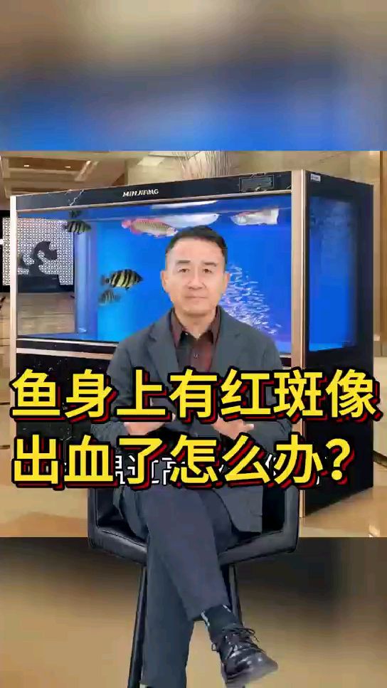 鱼身上有红斑像出血了怎么办?
