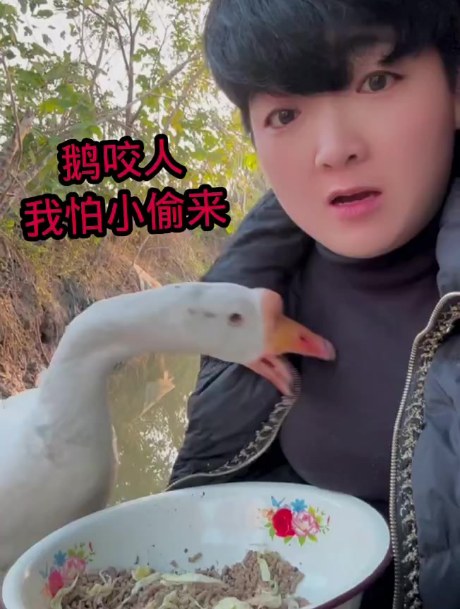 鹅咬人,我怕小偷来